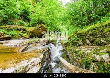 Pesenbachtal nella Mühlviertel alta, Austria Foto Stock