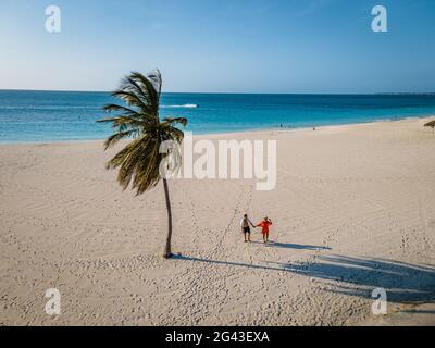 Palme sulla costa di Eagle Beach ad Aruba Foto Stock