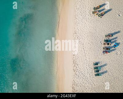 Palme sulla costa di Eagle Beach ad Aruba Foto Stock