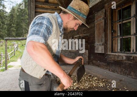 Enzianstechen al Priesberghütte, Berchtesgadener Land, alta Baviera, Baviera, Germania Foto Stock