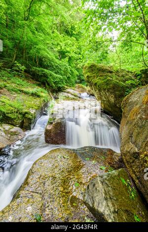 Wildbach nell'alta Mühlviertel, Austria Foto Stock