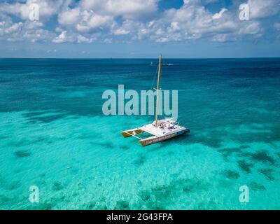 Palme sulla costa di Eagle Beach ad Aruba Foto Stock