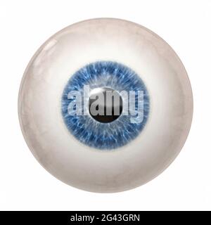 Iris umano blu Foto Stock