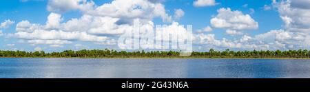 Webb Lake, Fred C. Babcock/Cecil M. Webb Wildlife Management Area, Punta Gorda, Florida, USA Foto Stock