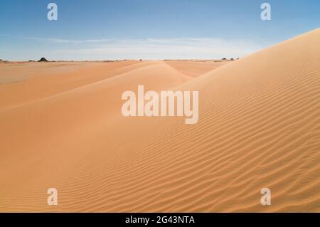 Ondate di vento su una grande duna di sabbia balenata sul bordo del Grande Mare di sabbia, nella regione del deserto occidentale del Sahara, in Egitto. Foto Stock