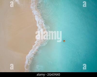 Aereo da Eagle Beach su Aruba nei Caraibi, bird ey vista sulla spiaggia con ombrellone presso Aruba Eagle Beach Foto Stock