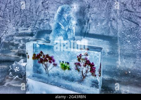 Fiori congelati e sculture di ghiaccio nel Palazzo di ghiaccio a Jungfraujoch, Vallese, Svizzera Foto Stock