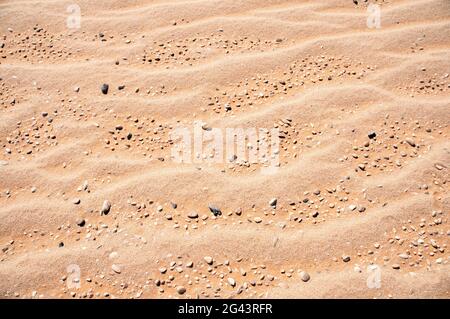 Ondate di sabbia e ciottoli, parte di un antico fondale marino, nella regione del deserto occidentale del Sahara, nel sud-ovest dell'Egitto. Foto Stock