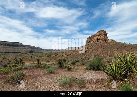 Il sentiero del Loop Rings nella Riserva Nazionale di Mojave. Foto Stock