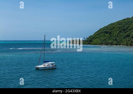 Catamarano a vela ormeggiata nella Laguna di Moorea, Moorea, Isole Windward, Polinesia Francese, Sud Pacifico Foto Stock