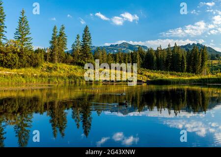 Lago di montagna sul Winklmoos Alm in estate con vista sulla Steinplatte, Reit im Wink, Chiemgau, Baviera, Germania Foto Stock