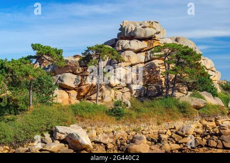 Paesaggio roccioso sulla Cote de Granit Rose in primo piano, Bretagna, Francia, Europa Foto Stock