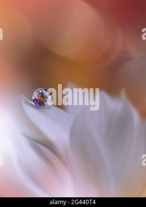 Bella macro shot di magia flowers.border art design. Magic light.Extreme primo piano foto macro. Foto Stock