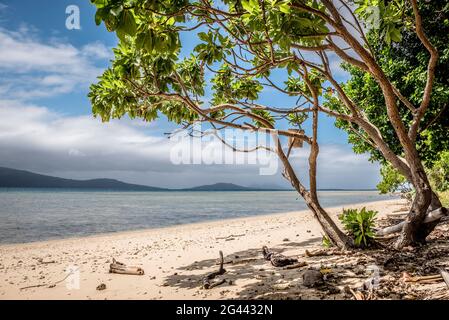 Spiaggia deserta su Efate, Vanuatu, Sud Pacifico, Oceania Foto Stock