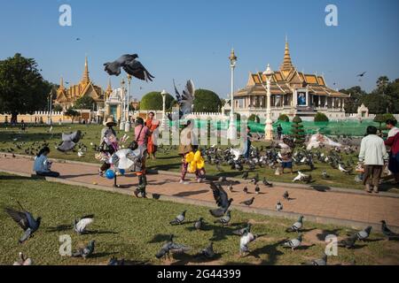 Piccioni e persone in parco fuori del complesso del Palazzo reale, Phnom Penh, Cambogia, Asia Foto Stock
