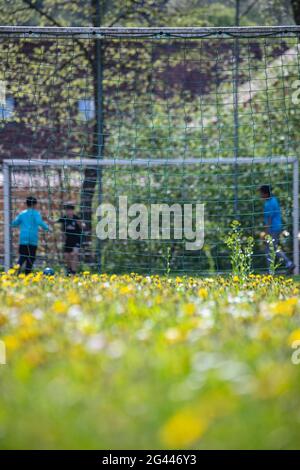 Ragazzi che giocano a calcio visto attraverso l'erba con fiori gialli, Habichsthal, vicino Frammersbach, Spessart-Mainland, Franconia, Baviera, Germania, Europa Foto Stock