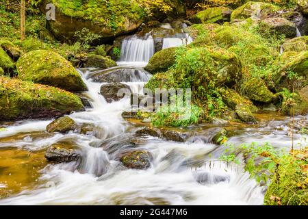 Romantica Valle Wildbach in autunno, alta Mühlviertel, alta Austria, Austria Foto Stock