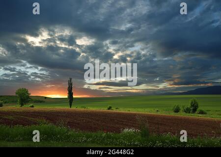 Incredibilmente bella natura.Art photography.Fantasy design.Creative Green background.colori sorprendenti. Foto Stock