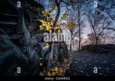Rocce e sentiero nella foresta d'autunno al tramonto, Thale, Harz, Sassonia-Anhalt, Germania, Europa Foto Stock