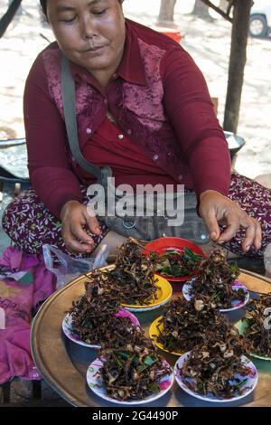 Piccole rane fritte in vendita sul mercato, Oudong (Udong), Kampong Speu, Cambogia, Asia Foto Stock