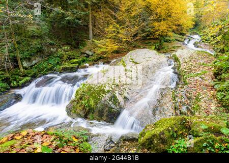 Romantica Valle Wildbach in autunno, alta Mühlviertel, alta Austria, Austria Foto Stock