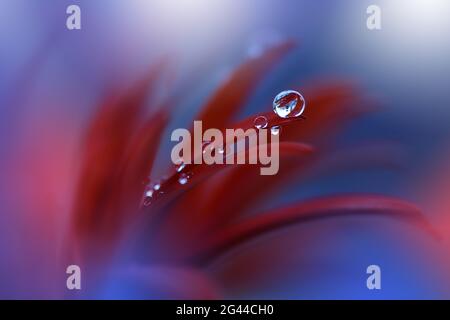 Bella macro shot di magia flowers.border art design. Magic light.Extreme primo piano foto macro. Foto Stock