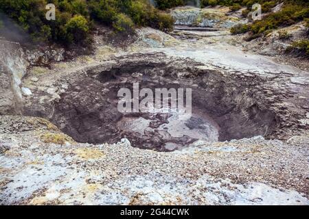 La zona geotermica di Rotorua Foto Stock