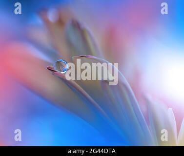 Bella natura background.Floral Art Design.Abstract Macro Photography.Gerbera Daisy Flower.Pastel Foto Stock