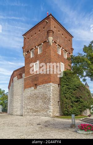 Torre dei ladri, Cracovia, Polonia Foto Stock