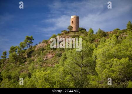 La Torrota (torre) a Vacarisses, tra la foresta di Pinus halepensis (Vallès Occidental, Barcellona, Catalogna, Spagna) ESP: La Torrota de Vacarisses Foto Stock