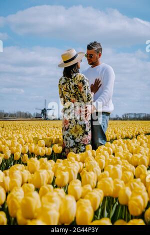 Tulip Field nei Paesi Bassi, colorati campi di tulipani a Flevoland Noordoostpolder Olanda, vista della Primavera Olandese Foto Stock