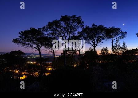 Pinete vicino alla città di Collbató al crepuscolo e al crepuscolo (Baix Llobregat, Barcellona, Catalogna, Spagna) ESP: Pinos al lado del pueblo de Collbató Foto Stock