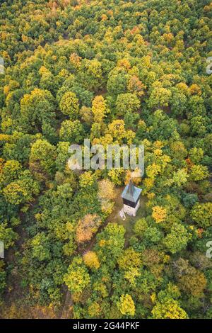 La torre Andreas Därr nell'autunnale Steigerwald, paradiso del vino, Franconia Centrale, Franconia, Baviera, Germania, Europa Foto Stock