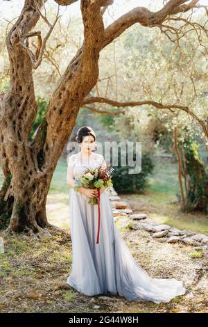 Una sposa con un bouquet di nozze si trova sotto la bella olivo nell'oliveto Foto Stock