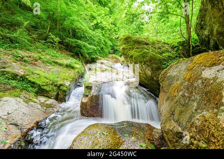 Pesenbachtal nella Mühlviertel alta, Austria Foto Stock