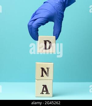 Abbreviazione DNA su blocchi quadrati di legno, sfondo blu Foto Stock