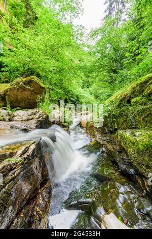 Pesenbachtal nella Mühlviertel alta, Austria Foto Stock