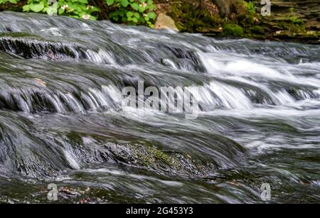 Acqua che scorre giù un ruscello. Ricketts Glen state Park, Pennsylvania, Stati Uniti. Foto Stock