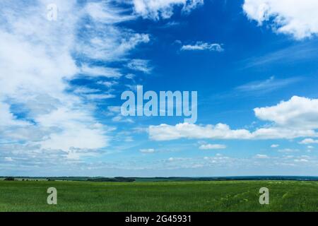 Paesaggio estivo con vista sul campo verde e il cielo con le nuvole Foto Stock