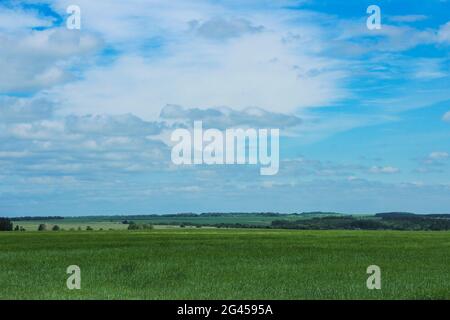 Paesaggio estivo con vista sul campo verde e il cielo con le nuvole Foto Stock