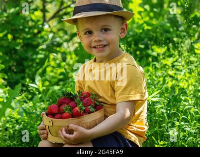 Bambino con un cestino di fragole. I bambini aiutano con il raccolto. Natura. Messa a fuoco selettiva. Foto Stock