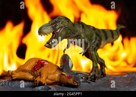 corpo tirannosauro e triceratops davanti al fuoco Foto Stock