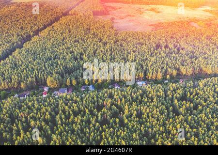 Paesaggio rurale. Vista aerea. Vista su una pineta e su un piccolo villaggio nella foresta Foto Stock