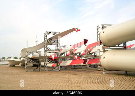 Pale rotoriche per turbine eoliche del gruppo Enercon in un deposito nei pressi di Magdeburgo in Germania Foto Stock