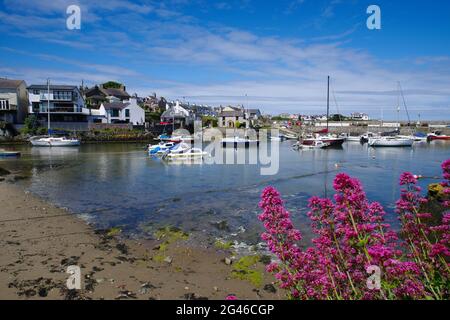 Cemaes Bay Harbor, Anglesey North Wales. Foto Stock