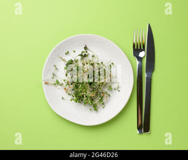 Germogli verdi di chia, rucola e senape in una piastra rotonda bianca, vista dall'alto Foto Stock