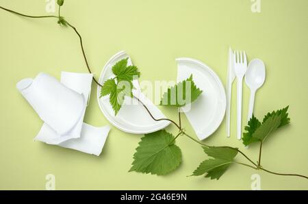 Piastra di plastica bianca rotta, forchetta, coltello e ramo con foglie verdi su sfondo verde. Il concetto di evitare la plastica, pre Foto Stock