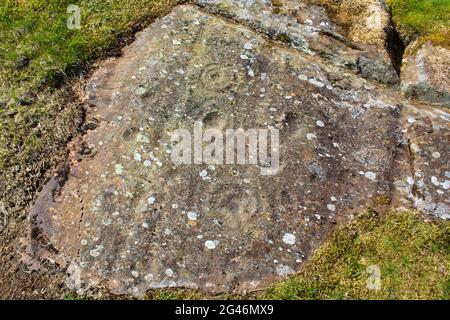 Coppa e pietre segnate ad anello a Cairnbaan in Argyll, Scozia Foto Stock