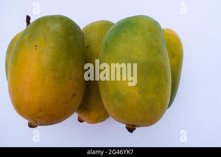 Deliziosa e fresca varietà Kesar Mango dall'India, coltivata nel Gujarat distretto di Gir. Sapore aromatico manganes organici. Stagione estiva speciale Mango frutta Foto Stock