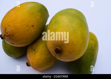 Deliziosa e fresca varietà Kesar Mango dall'India, coltivata nel Gujarat distretto di Gir. Sapore aromatico manganes organici. Stagione estiva speciale Mango frutta Foto Stock